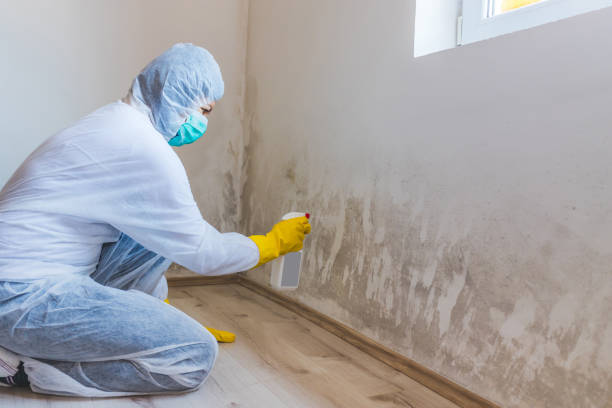 Commercial Mold Remediation assessment for commercial property in Cream Ridge