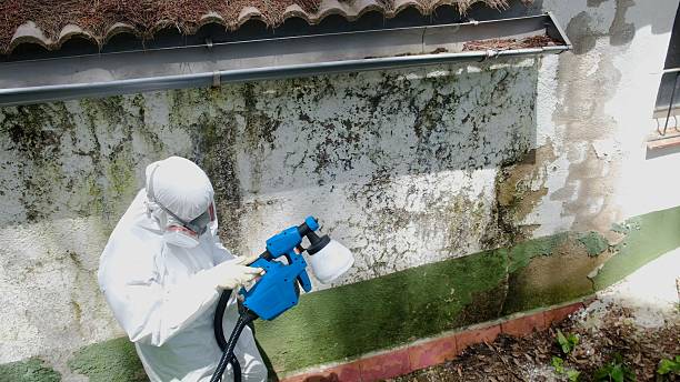 Mold Removal service in Cream Ridge